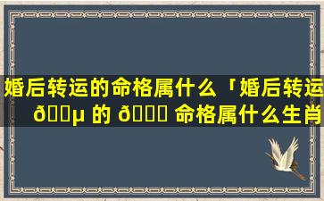 婚后转运的命格属什么「婚后转运 🐵 的 🍀 命格属什么生肖」